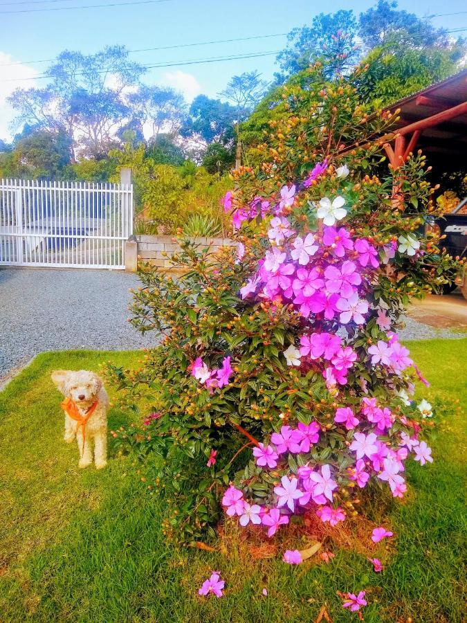 Le Petit Cherie Hostel Blumenau Exterior photo